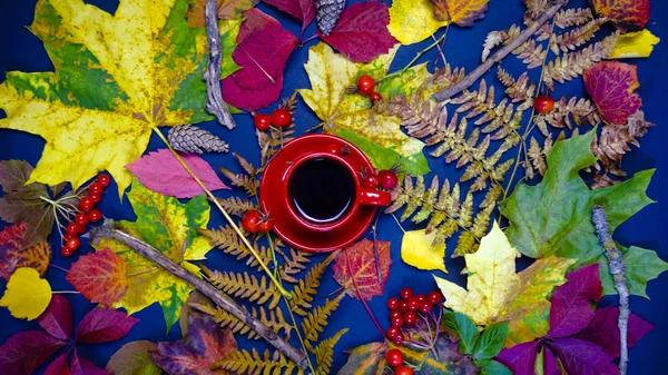 Eine heiße Tasse Tee, umgeben von Herbstblättern. das Konzept des Herbstes — Stockfoto