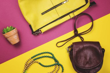 Çanta, çiçek ve diğer kadın aksesuarları renk ve parlak arka tarafından. Üstten Görünüm. Düz yatıyordu.