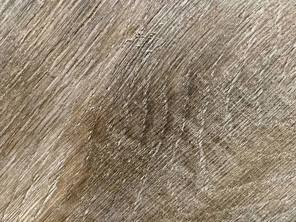 Ağacın arka planı ve dokusu, cep telefonundaki fotoğraf. - Yakın çekim. Döşeme