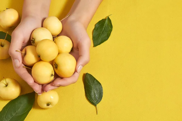 Sarı elmalı sarı arka planda kadın elleri var. Vitaminler, düzgün beslenme.