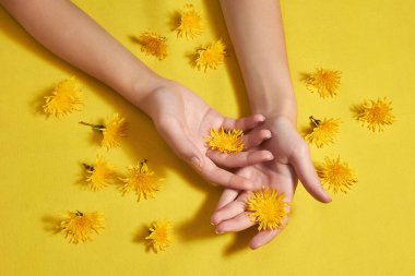 Sarı arka planda çiçekleri olan bir kadının elleri..