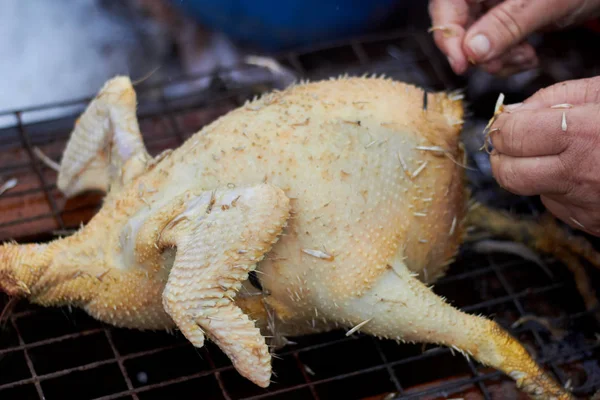 Masada ölü bir tavuk var. Bir çiftçi tavuğu senin ellerinle otlatıyor. Yemek pişirmek. Çiftlik, kırsal bölge. tavuk.