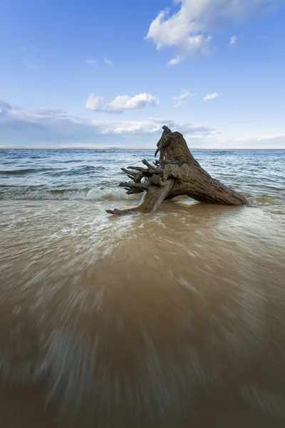 plaj kıyısında oturum 