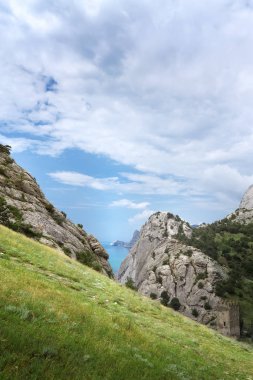 görünümü yeni ışık