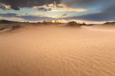 kum tepeleri ormanda