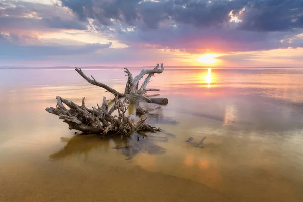 Sonnenaufgang auf dem Wasser — Stockfoto