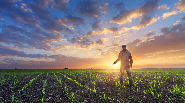 man in field at sunset 