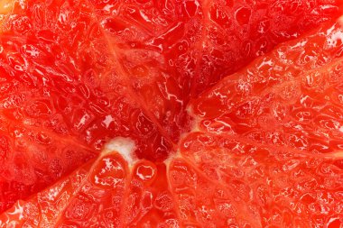 Greyfurt makro fotoğraf 