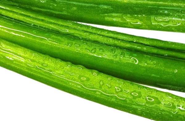 녹색 양파 매크로 — 스톡 사진