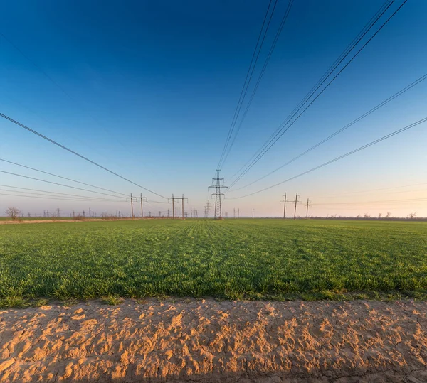 power line in a field of green wheat / early spring industry on the background of a green field