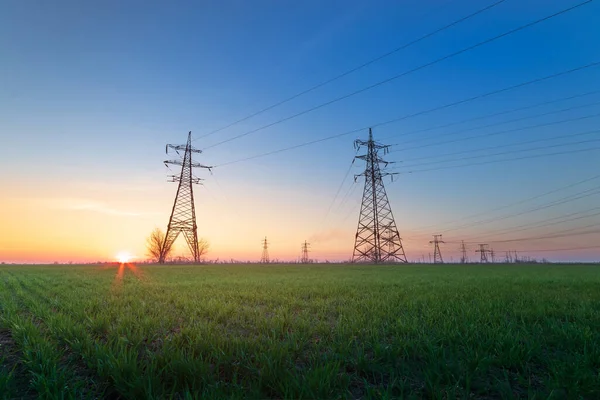 Yeşil Buğday Tarlasında Elektrik Hattı Erken Bahar Endüstrisi Yeşil Bir Telifsiz Stok Fotoğraflar