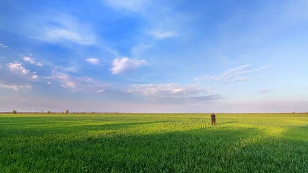 Чоловік Дивиться Небо Яскравий Весняний Пейзаж — стокове фото