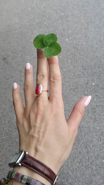 Vrouwelijke hand met vier bladeren klaver en een robijn ring op de middelste — Stockfoto