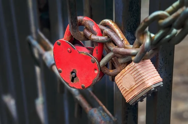 The iron fence is locked. Iron fence and castle. Locked iron grate