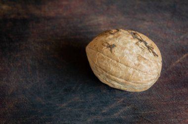 Koyu ahşap arka planda ceviz. Kurumuş perdeli zarı olan ceviz. Eski püskü bir geçmişi olan yalnız bir kaçık.