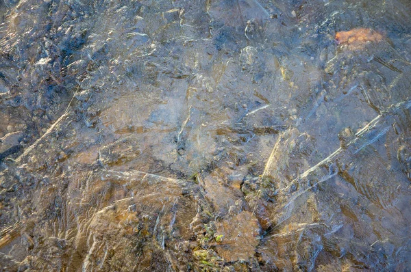 Jarní Tenký Led Louži Stéblem Trávy Ledová Abstrakce Jarní Ranní — Stock fotografie