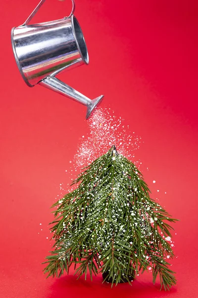 Riego puede verter nieve en un árbol de Navidad sobre un fondo rojo, composición de Navidad —  Fotos de Stock