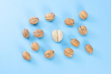 İnsan beyninin şekli ceviz çekirdekleri ile çevrilidir. Bu beynin cevizlerle benzerliğini ve beynin sağlıklı bir besin olarak kanıtlanmış etkinliğini sembolize eder..