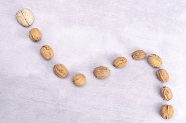 Cevizler sağlıklı beyin gıdalarını sever. İnsan beyninin şekli ceviz çekirdekleri ile çevrilidir.