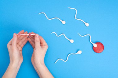 Mavi arka planda yumurta içinde yüzen aktif spermler ve hamilelik testi yapan bir kadının elleri. Hamilelik kavramı, yumurtanın döllenmesi. Metin için yeri olan üst görünüm