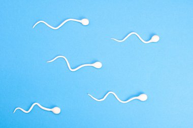 Mavi arka planda aktif sperm yüzüşü. Hamilelik kavramı, yumurtanın döllenmesi. Üst görünüm