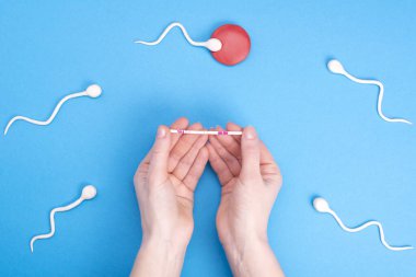 Mavi arka planda yumurta içinde yüzen aktif spermler ve hamilelik testi yapan bir kadının elleri. Hamilelik kavramı, yumurtanın döllenmesi. Metin için yeri olan üst görünüm