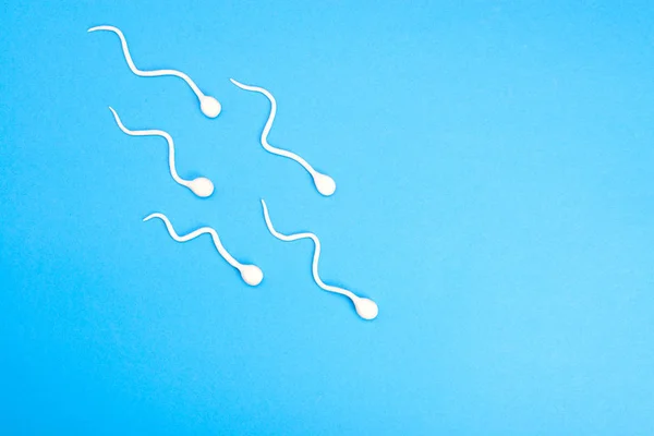 Mavi arka planda aktif sperm yüzüşü. Hamilelik kavramı, yumurtanın döllenmesi. Üst görünüm