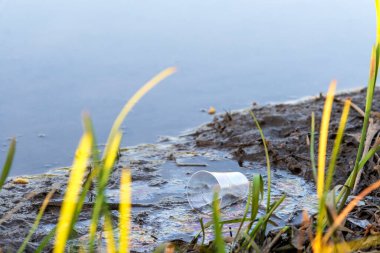 Tek kullanımlık plastik bir bardak yağ lekeleriyle birlikte nehre atıldı. Doğanın kirliliği. Su kirliliği. Çevre Koruma