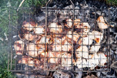 Kazıkta ızgara et. Gün batımında doğada piknik. Yazın tadı