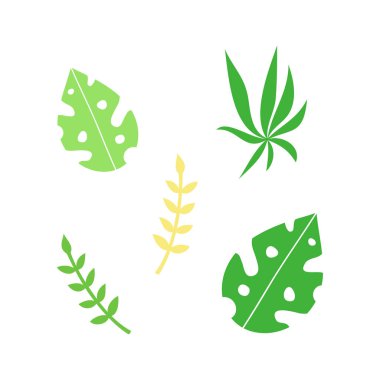 Tropik yapraklar vektör illüstrasyon seti. El yapımı yağmur ormanı bitkileri. İzole edilmiş.