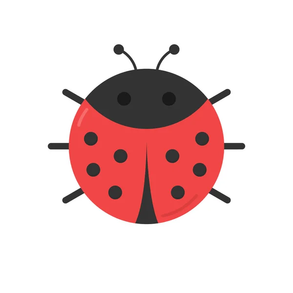 Cute Ladybug Vector Graphic Illustration Isolated Cute Simple Flat Design — Stock Vector