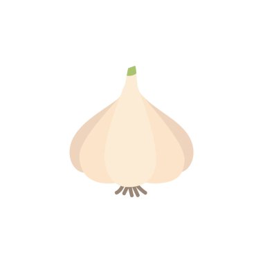 Sarımsak soğanı vektör çizim ikonu. Sarımsaklı baharat, baharatlı sebze. İzole edilmiş.