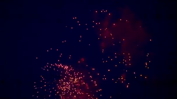 Fuochi d'artificio nel cielo notturno, brillanti palle scintillanti — Video Stock