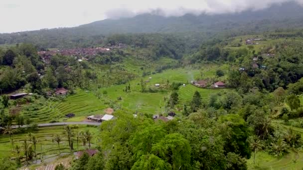 Балі, рисові тераси і гори. — стокове відео