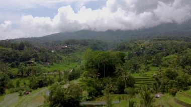 Bali, pirinç terasları ve dağ manzarası.