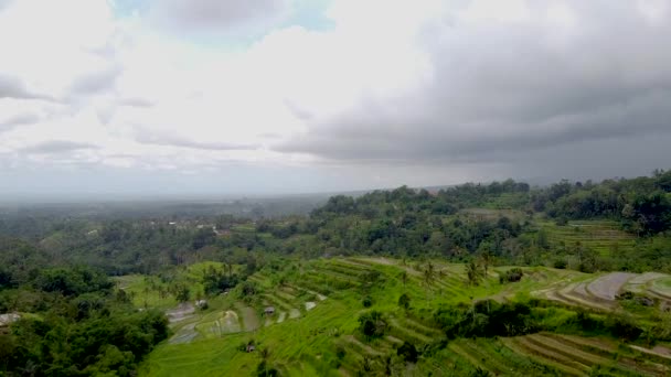 Bali, pirinç terasları ve dağ manzarası. — Stok video