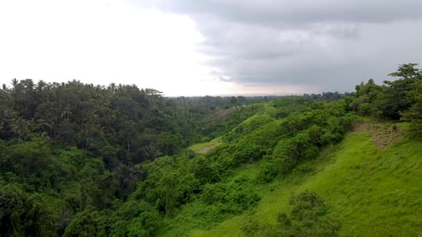 Bali Ubud Ormanı hava görüntüsü — Stok video