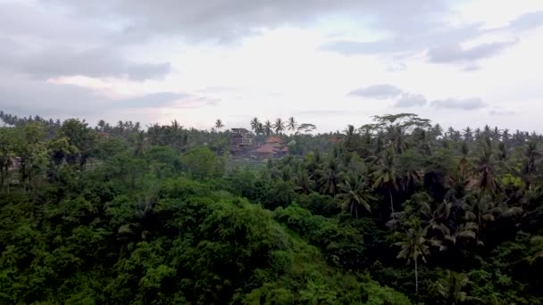 Bali Ubud dzsungel légi felvétel — Stock videók