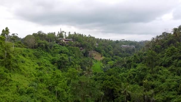 Bali Ubud Jungle vídeo aéreo — Vídeo de Stock