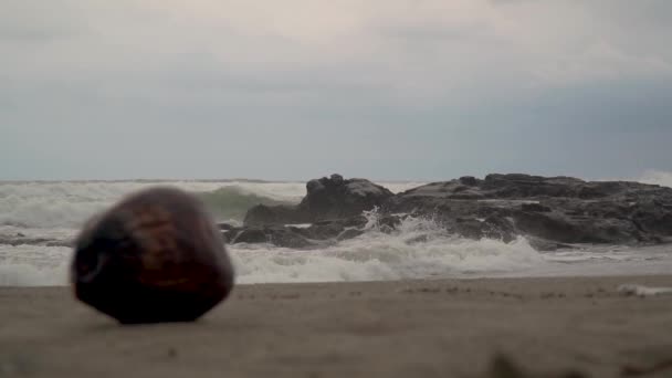 Vista do oceano e ondas quebrando em pedras e rochas na areia encontra-se um coco — Vídeo de Stock