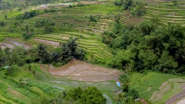 Bali, terrasses de riz et montagnes vue aérienne 