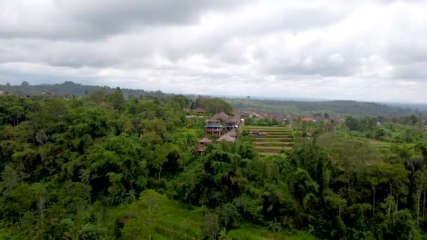 Bali, pirinç terasları ve dağ manzarası. — Stok video