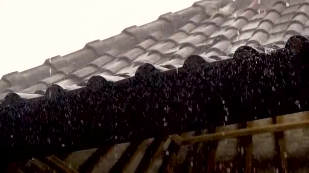 激しい雨がアジア・バリのスローモーションのタイルから屋根に降り注ぎ — ストック動画