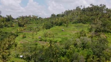 Bali hava manzarası, okyanus dağları ve orman görülebilir.