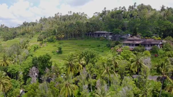 Bali vista aérea, montanhas oceânicas e selva pode ser visto — Vídeo de Stock