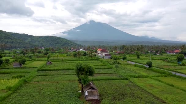 Bali, Agung Vulkaan filmen vanuit de lucht — Stockvideo