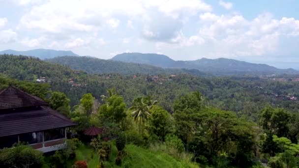 Bali hava manzarası, okyanus dağları ve orman görülebilir. — Stok video