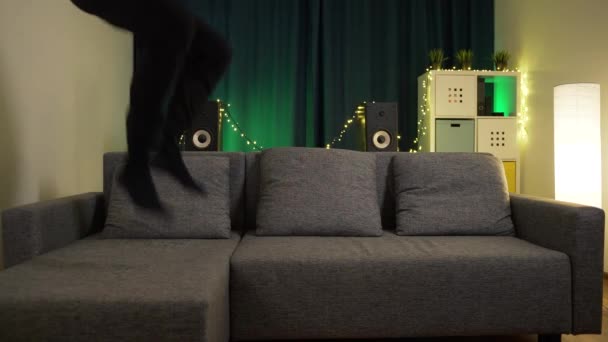 Homem em isolamento é louco, salta no sofá — Vídeo de Stock