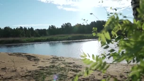 Summer landscape of lake with beach in the foreground Bush — Stock Video