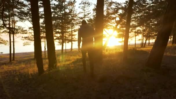 Ένας άντρας περπατά μέσα στο δάσος το ηλιοβασίλεμα προς τη θάλασσα. — Αρχείο Βίντεο